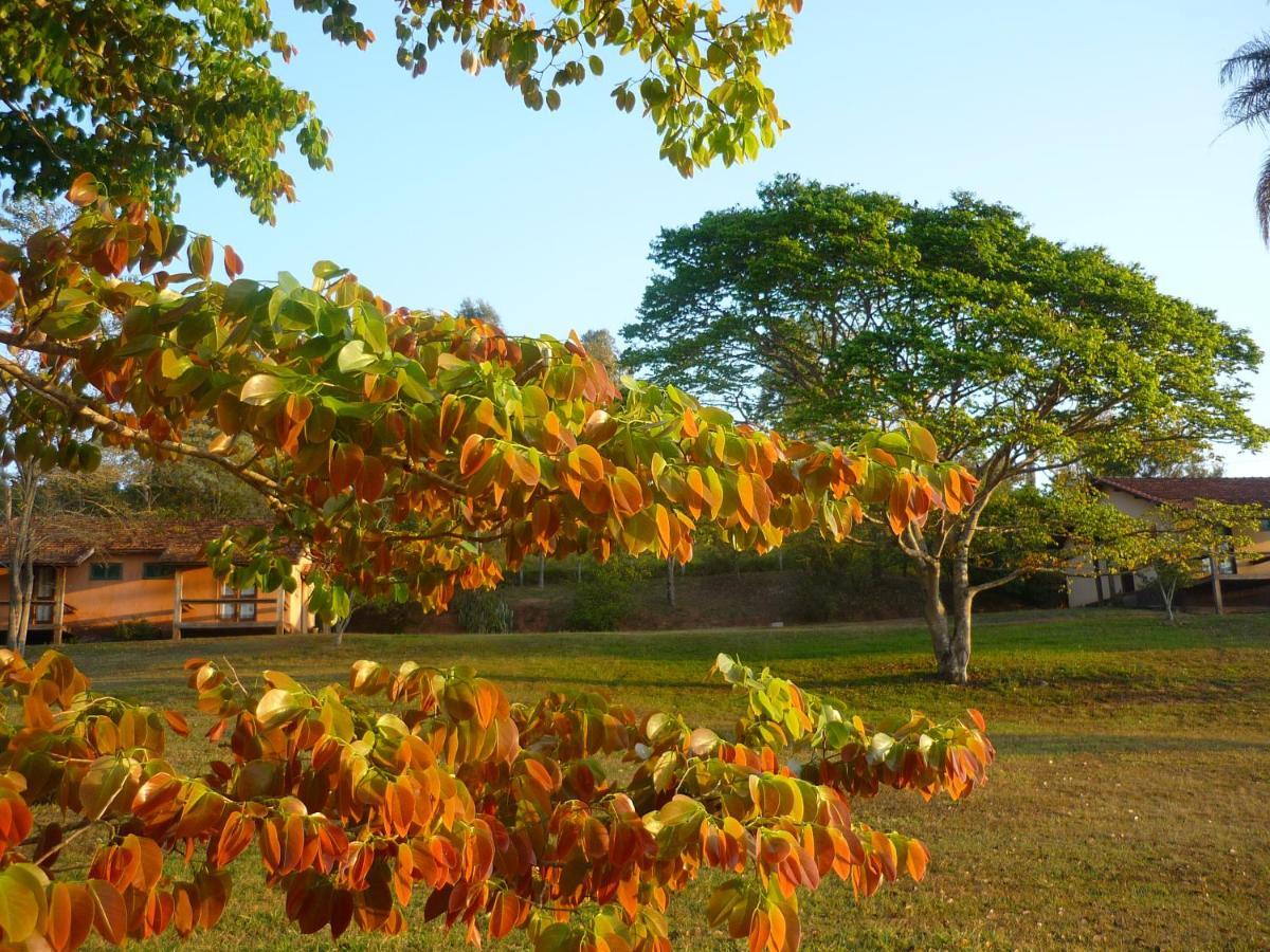 Porto Fazenda Hotel Alfenas Eksteriør bilde